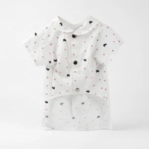 boy dog shirt studio 1 1 2x