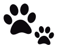 paw prints black